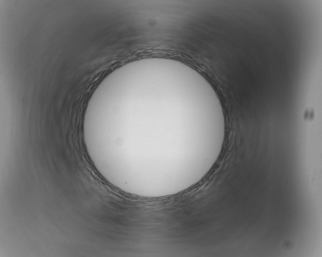 X0000111130769200906301104