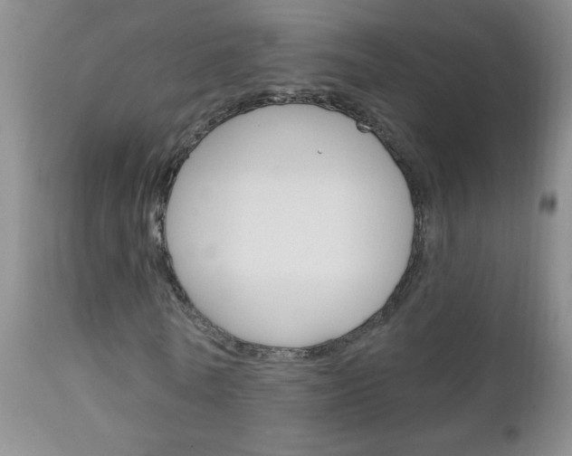 X0000111130770200906301104