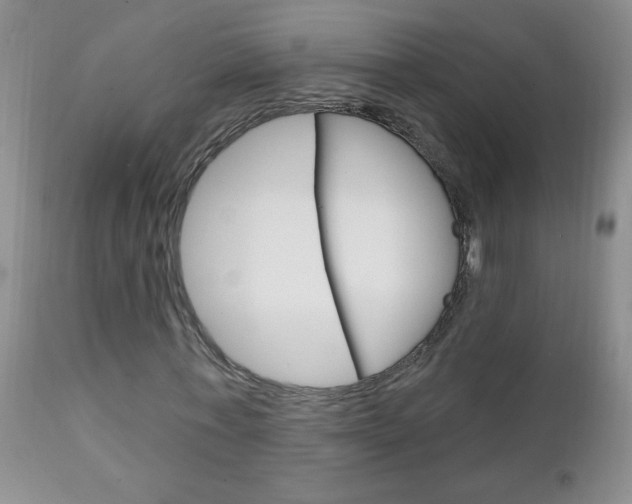 X0000111130771200906301104