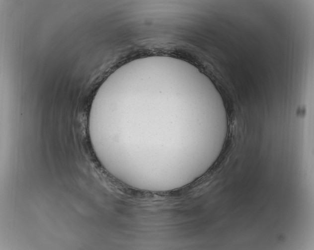 X0000111130772200906301104