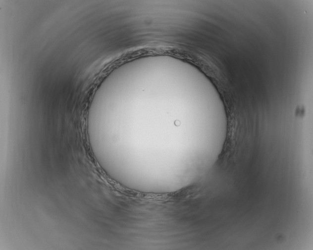 X0000111130773200906301104
