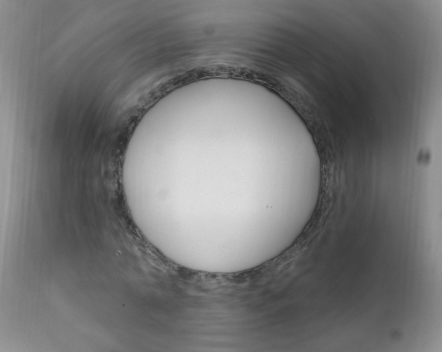 X0000111130774200906301104