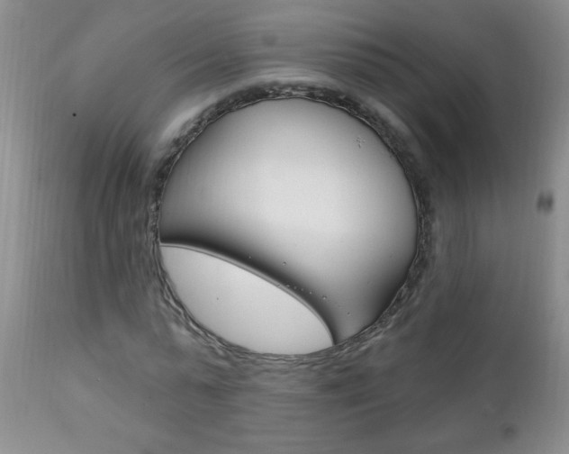 X0000111130775200906301104