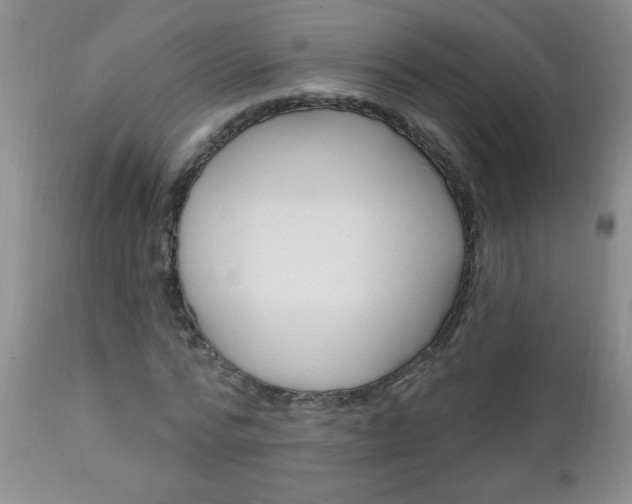 X0000111130776200906301104