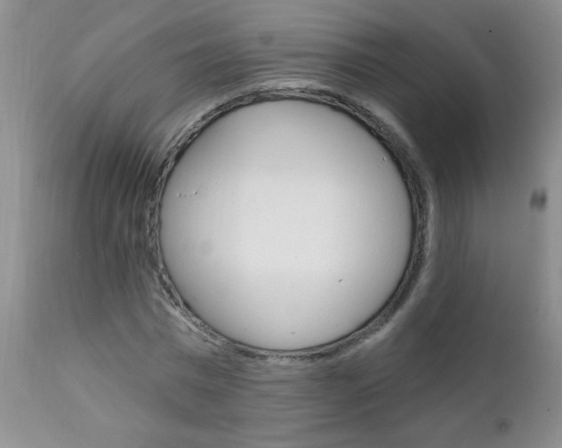 X0000111130777200906301104