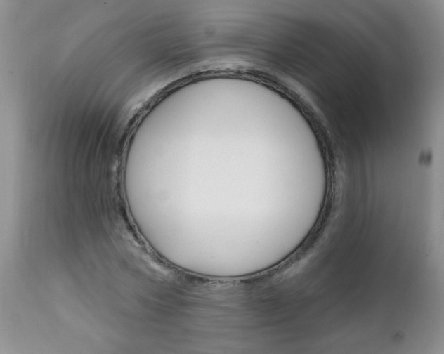 X0000111130778200906301104