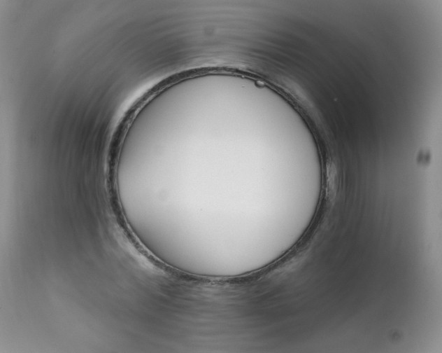 X0000111130780200906301104