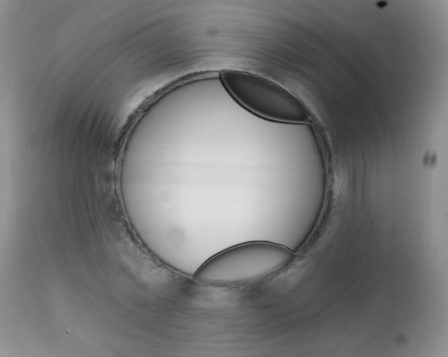 X0000111130781200906301104