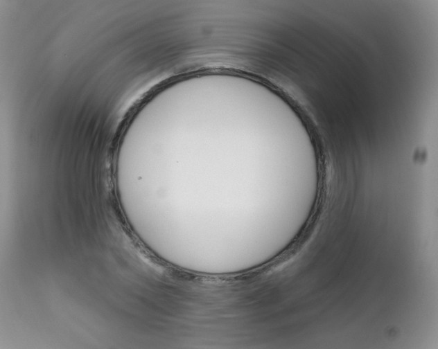 X0000111130782200906301104