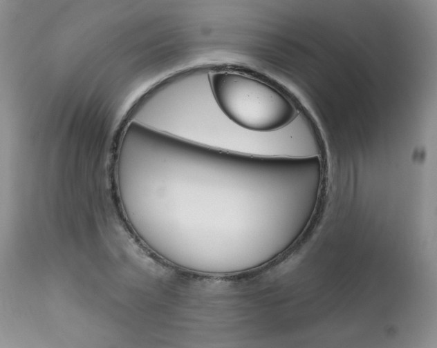 X0000111130783200906301104
