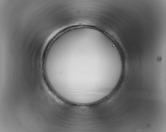X0000111130784200906301104
