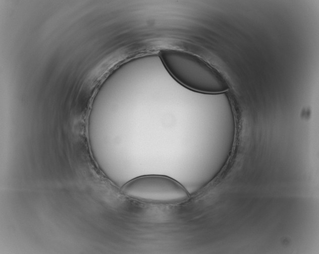 X0000111130785200906301104