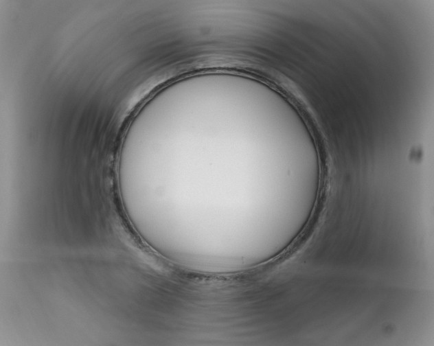 X0000111130786200906301104