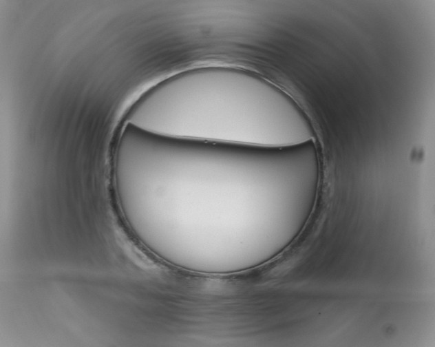 X0000111130787200906301104