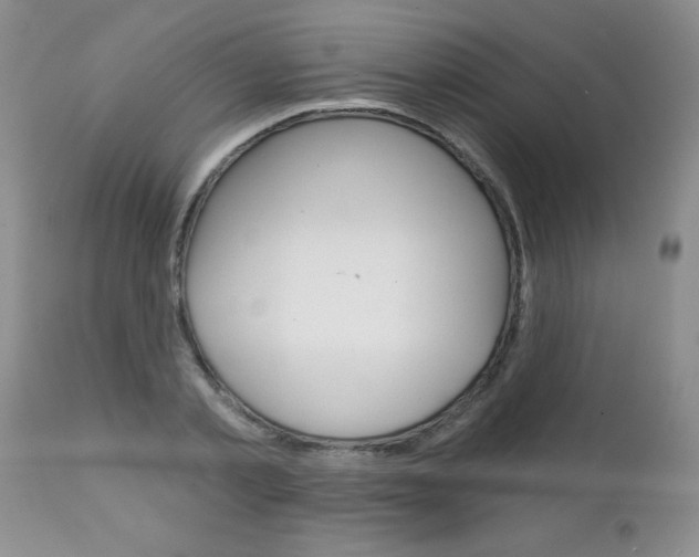 X0000111130789200906301104