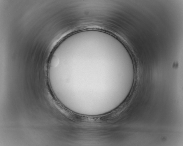 X0000111130790200906301104