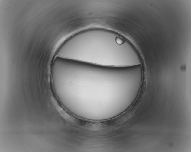 X0000111130791200906301104