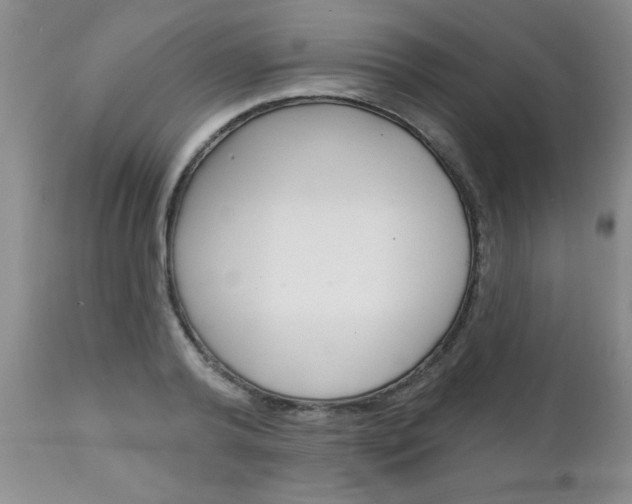 X0000111130792200906301104