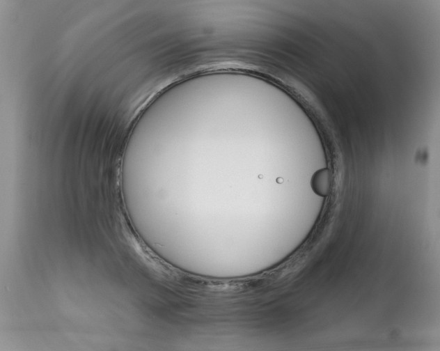X0000111130793200906301104