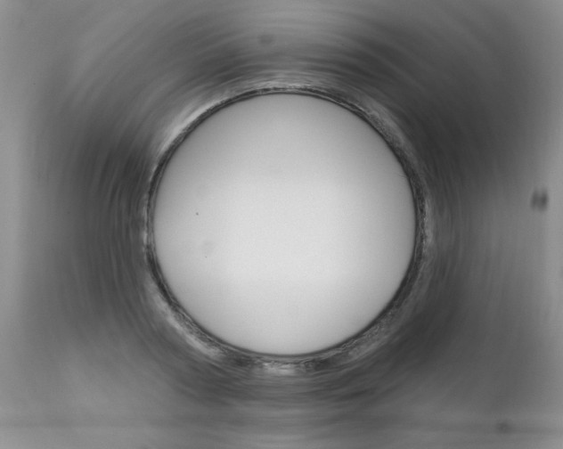 X0000111130794200906301104