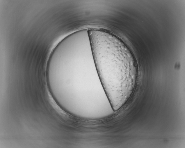 X0000111130795200906301104