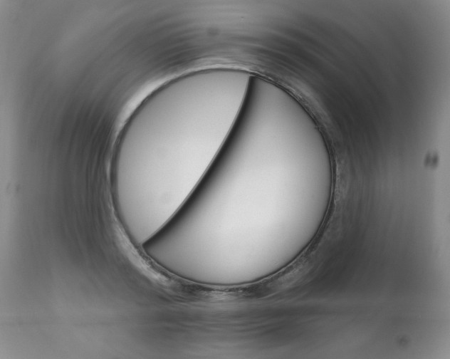 X0000111130796200906301104