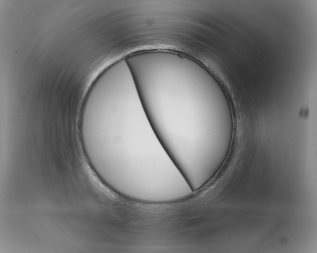 X0000111130797200906301104