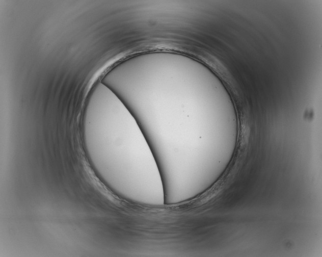 X0000111130798200906301104