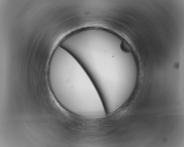 X0000111130799200906301104