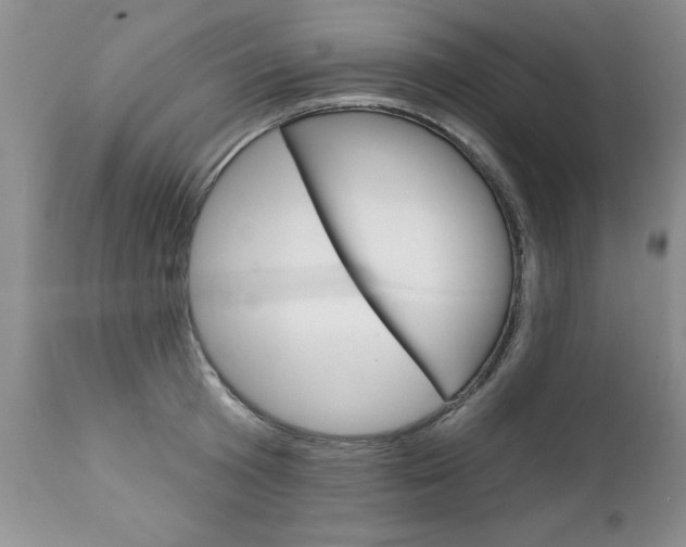 X0000111130801200906301104