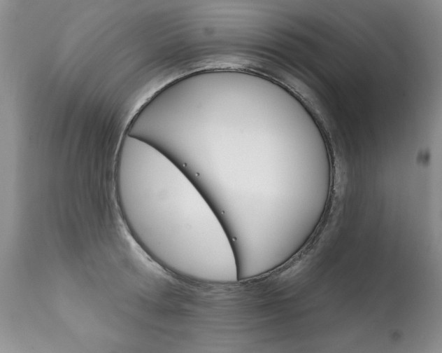 X0000111130802200906301103