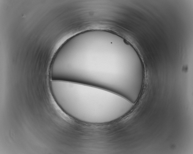 X0000111130803200906301103