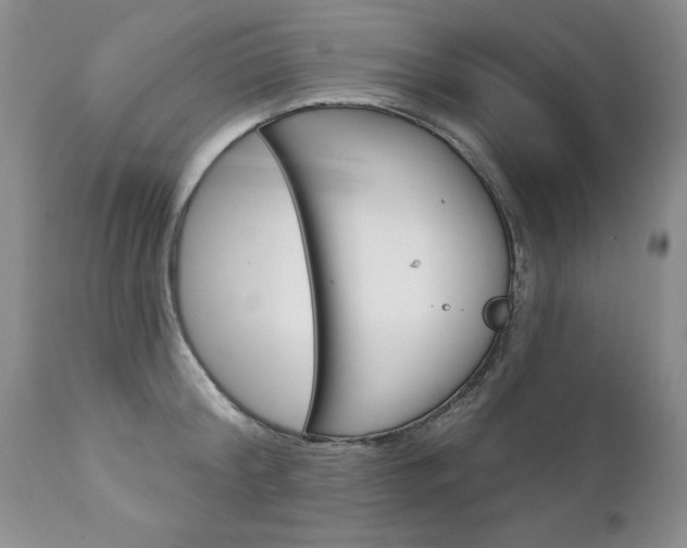 X0000111130804200906301103