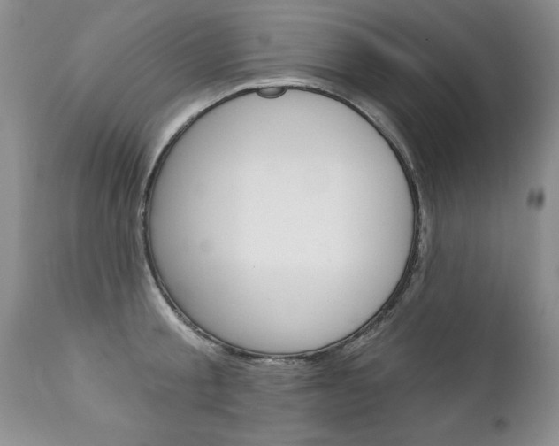 X0000111130805200906301103