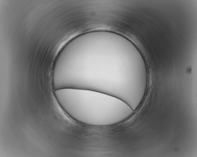 X0000111130806200906301103