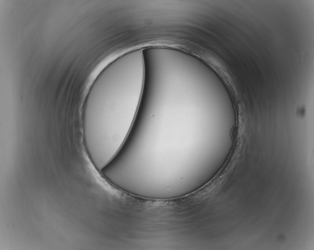 X0000111130808200906301103