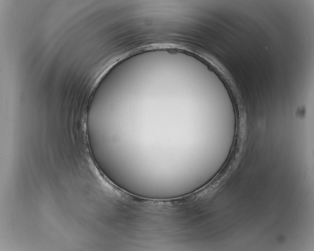 X0000111130809200906301103