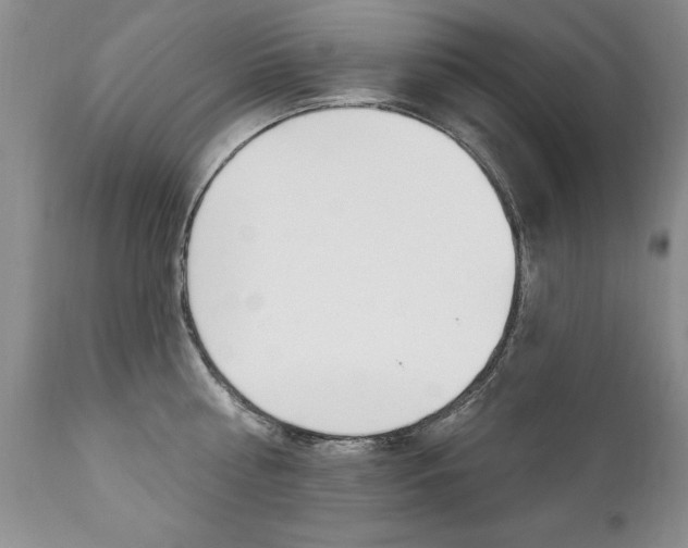 X0000111130810200906301103