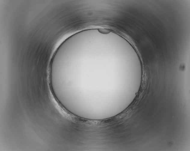 X0000111130811200906301103