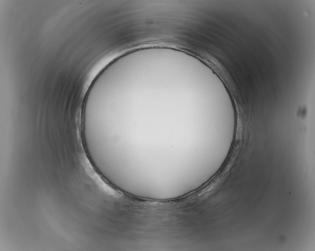 X0000111130812200906301103