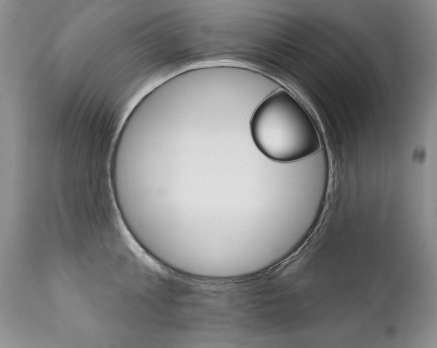 X0000111130813200906301103