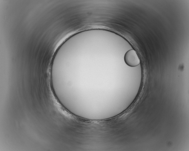 X0000111130814200906301103