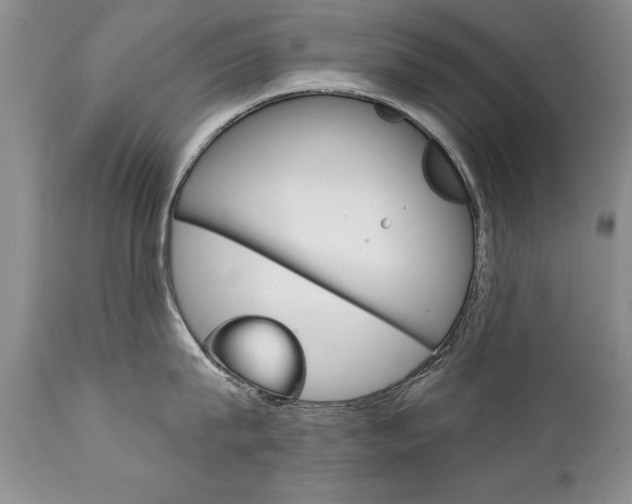 X0000111130815200906301103