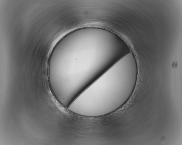 X0000111130816200906301103