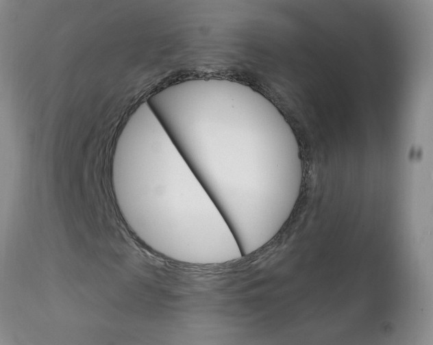 X0000111130817200906301103