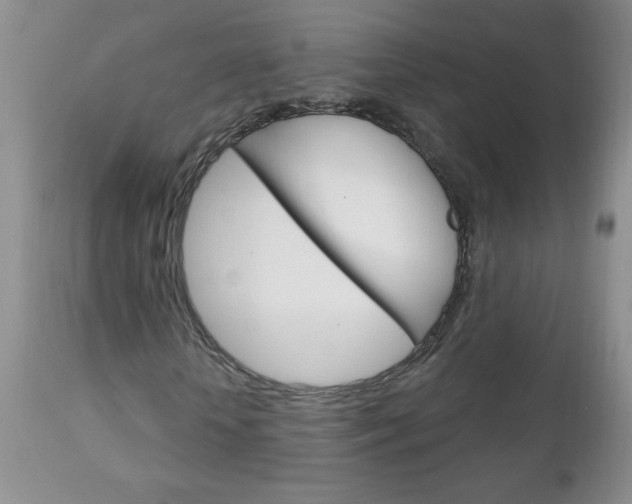 X0000111130818200906301103