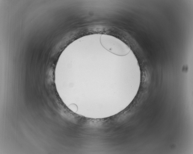X0000111130820200906301103