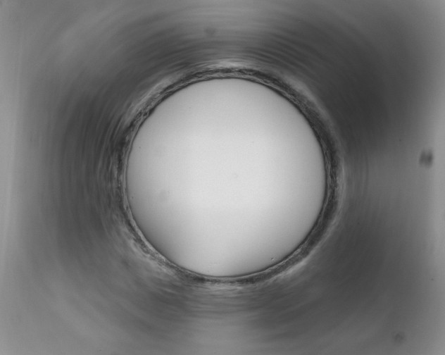 X0000111130825200906301103