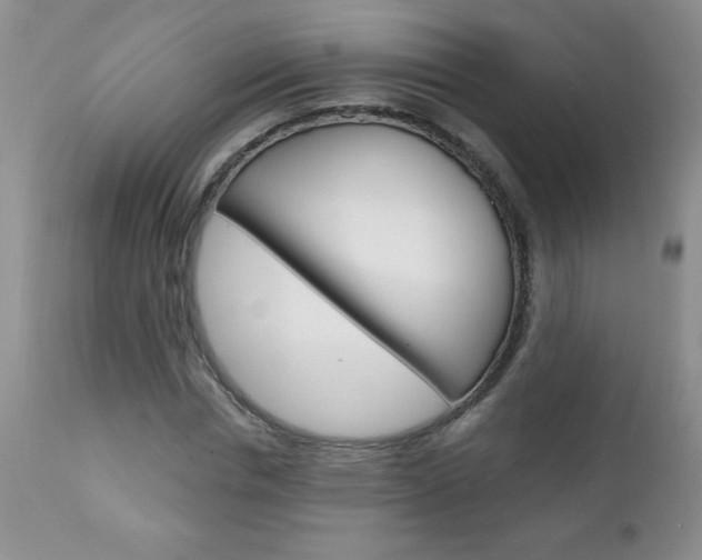 X0000111130826200906301103