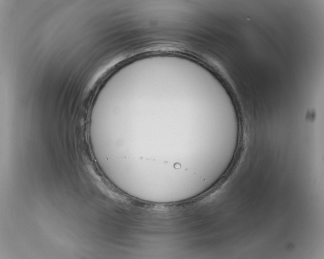 X0000111130827200906301103